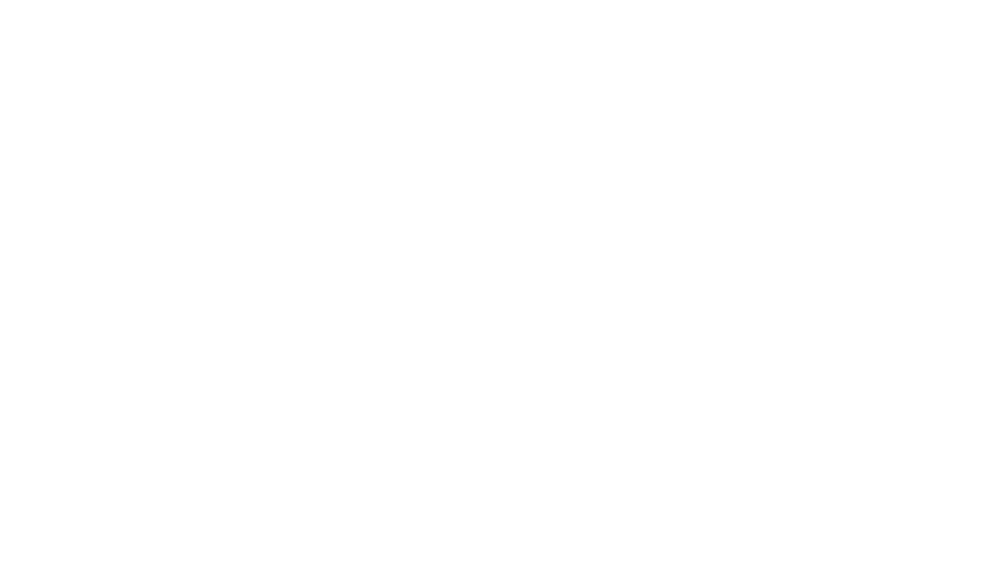 DevSquad - Software Artisans